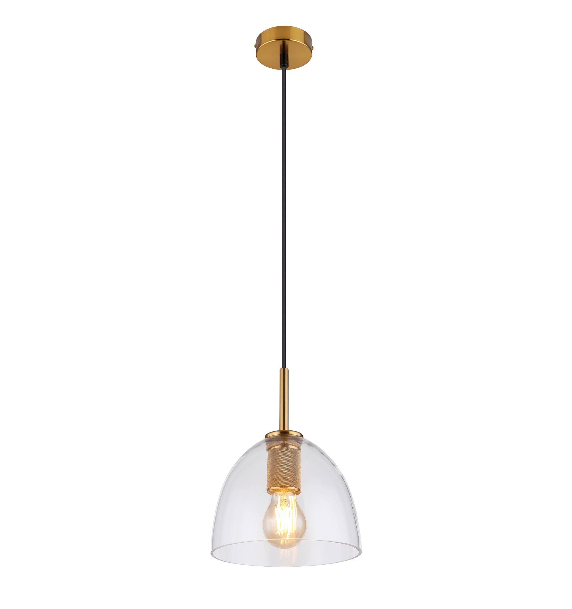 Glass Shaded Pendant Light